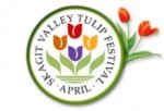tulip festival e1451832173203